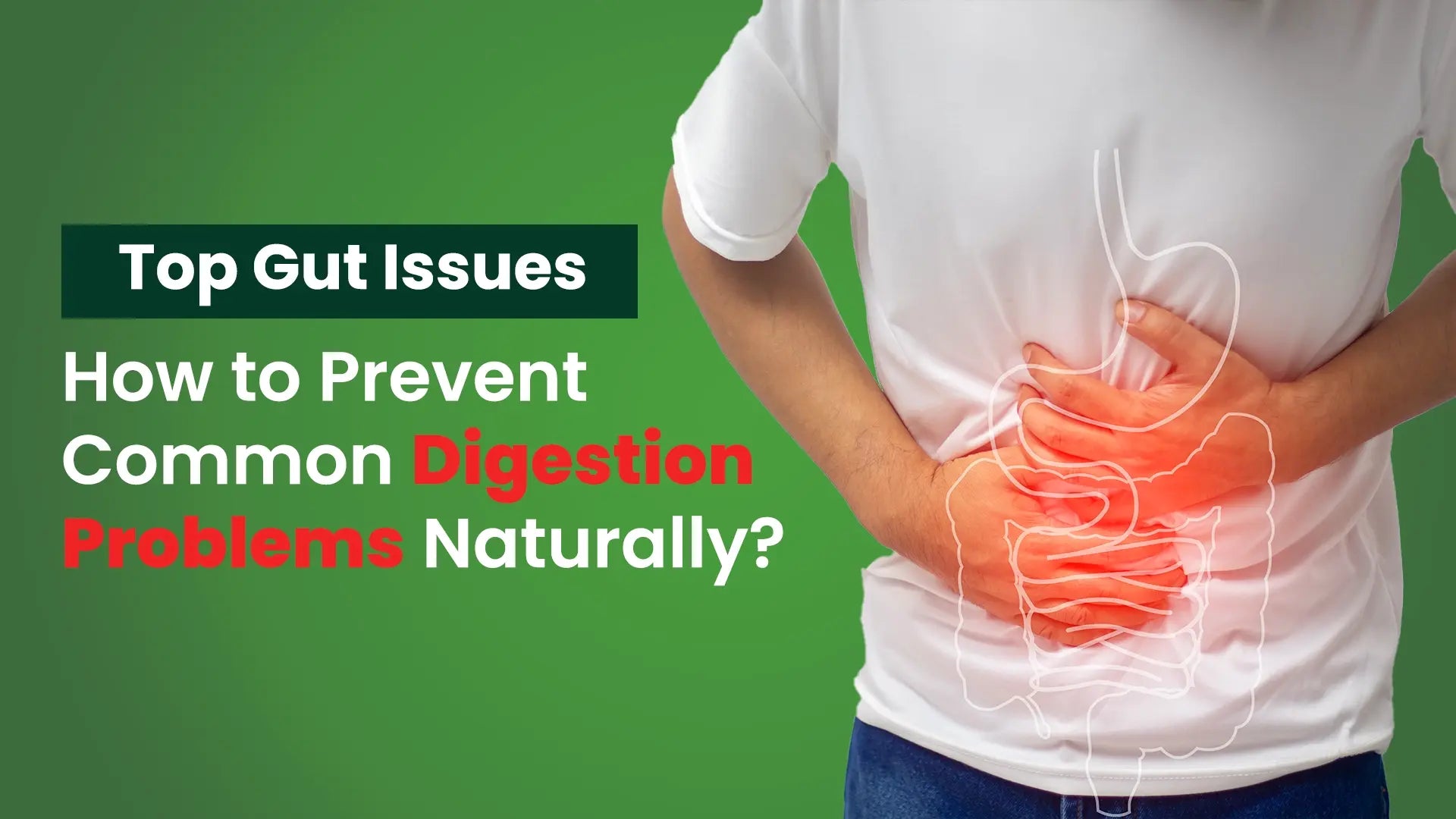 Top Gut Issues and How to Prevent Common Digestion Problems Naturally