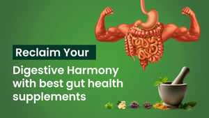 Reclaim Your Digestive Harmony with best gut health supplements